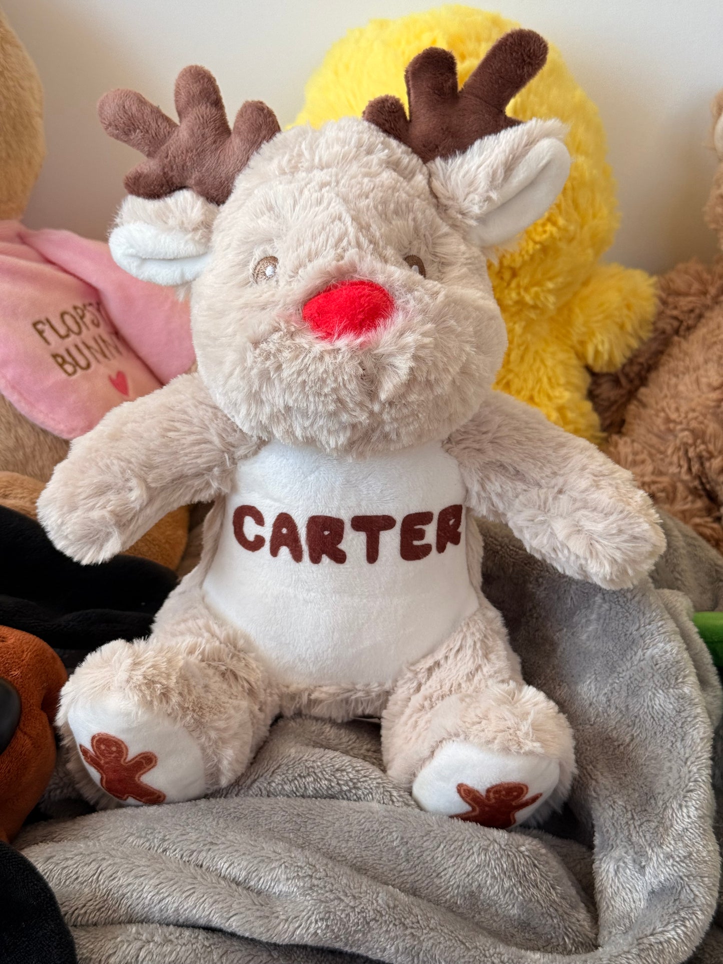 Rudolph The Reindeer Custom Teddy